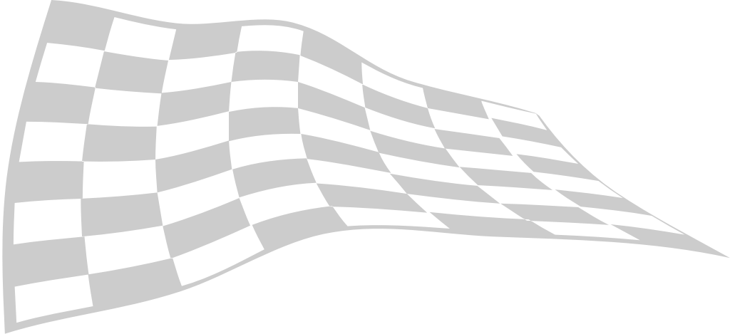 Flag race vector