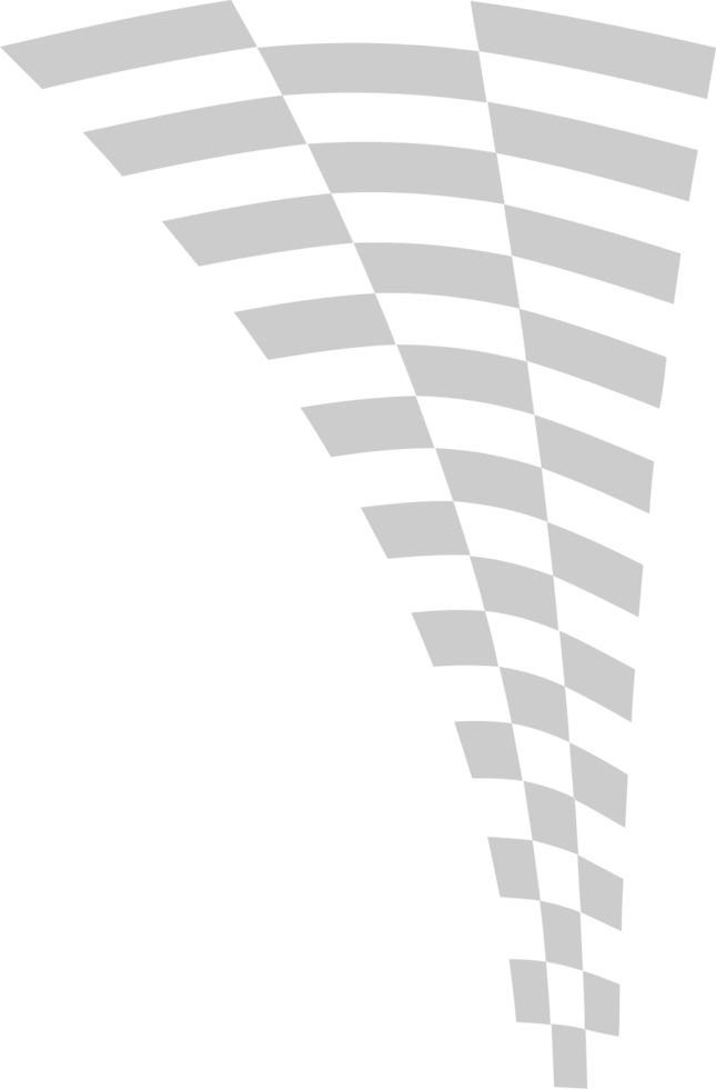 Flag race vector