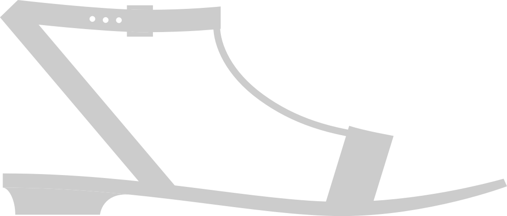 Shoes Fashion vector