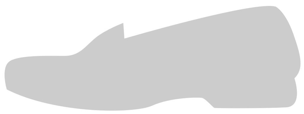 Shoes Fashion vector