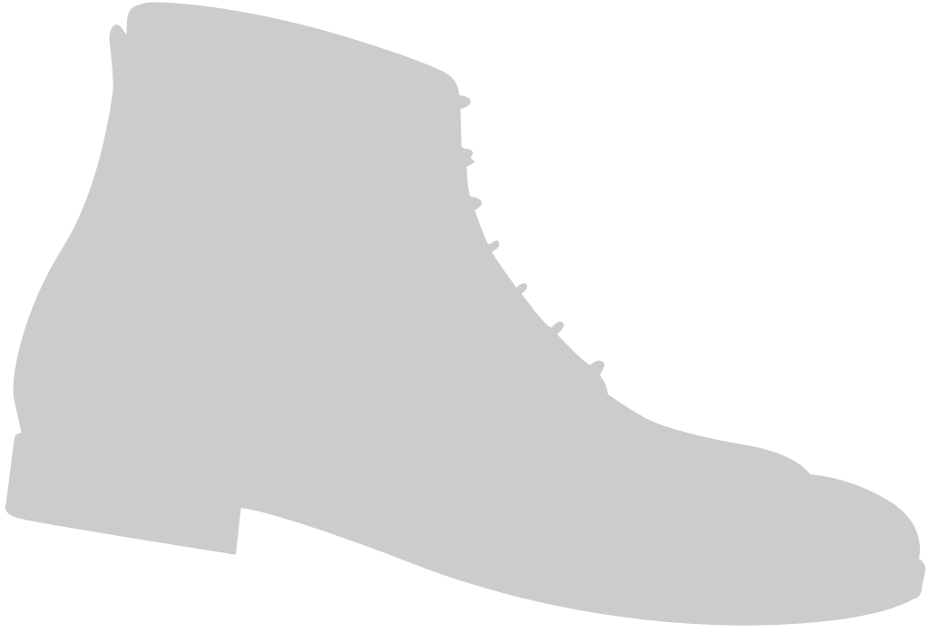 Shoes Fashion vector
