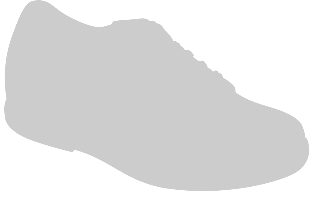 Shoes Fashion vector