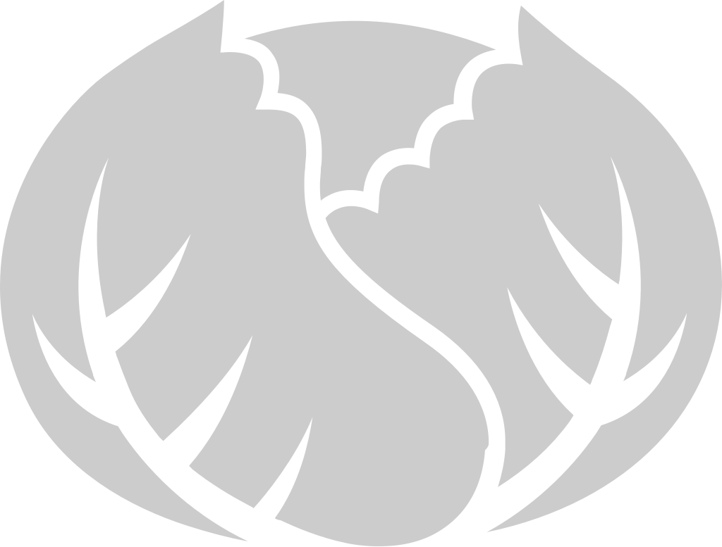 Cabbage vector