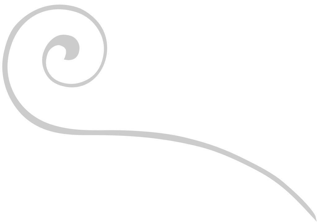 Swirl line art vector