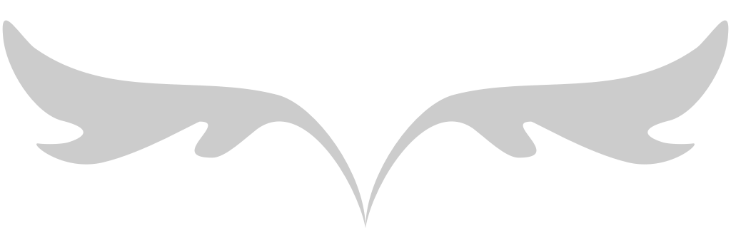 Decoration vector