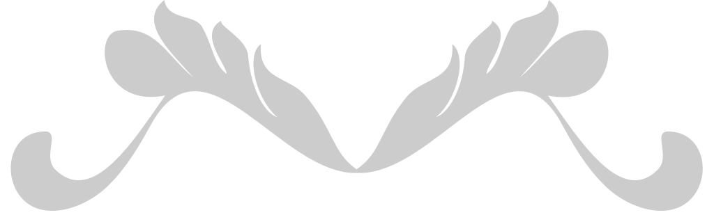Swirl vector