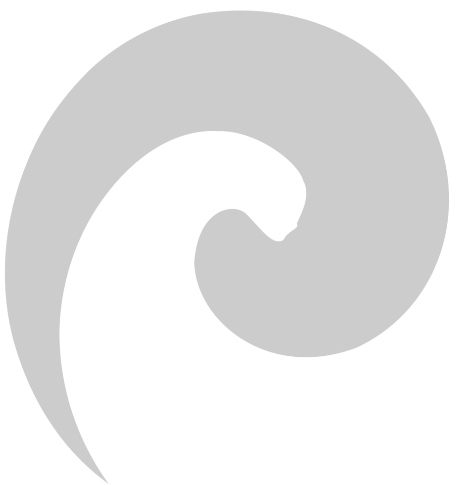 Swirl  vector