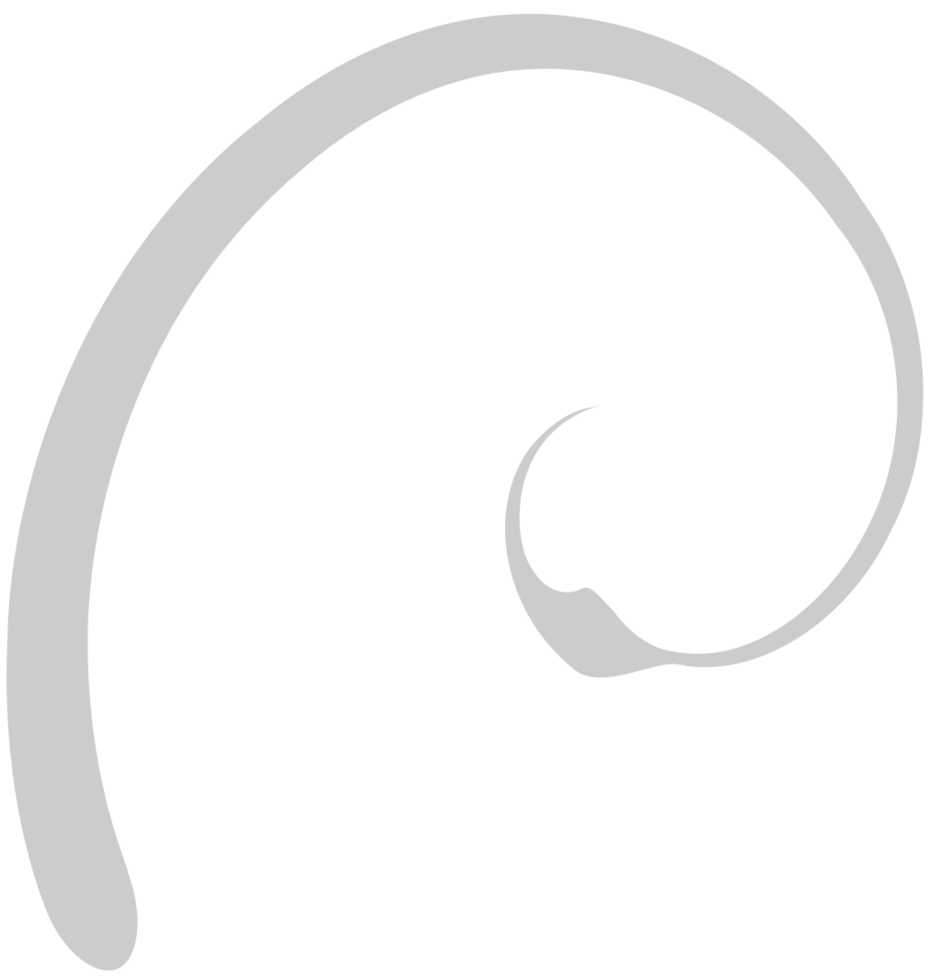 Swirl  vector