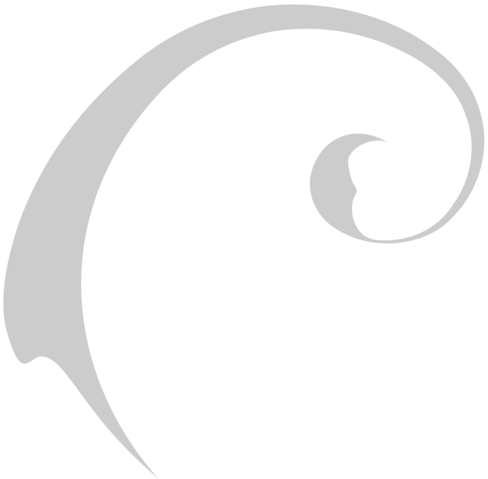 Swirl  vector