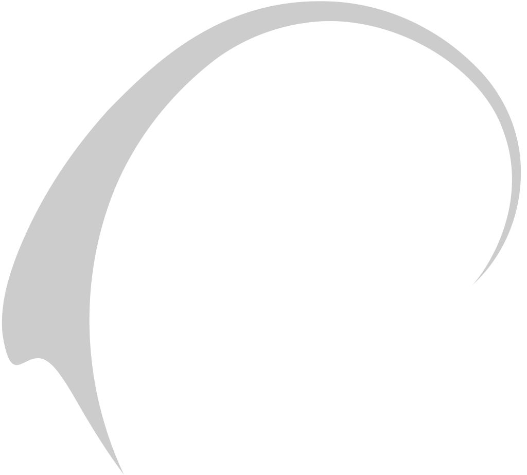 Swirl  vector