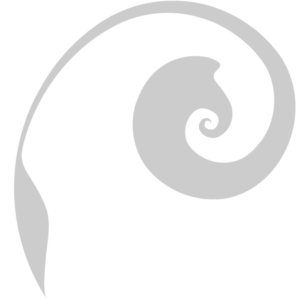 Swirl  vector