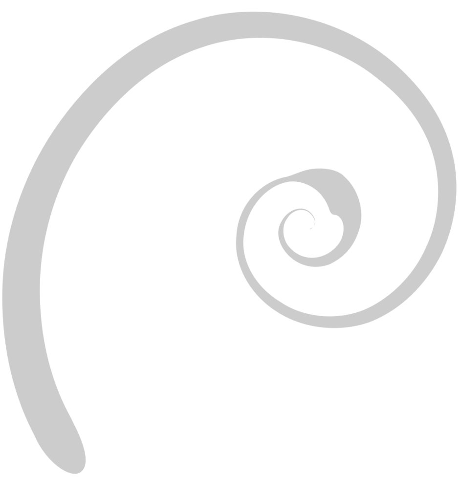 Swirl  vector