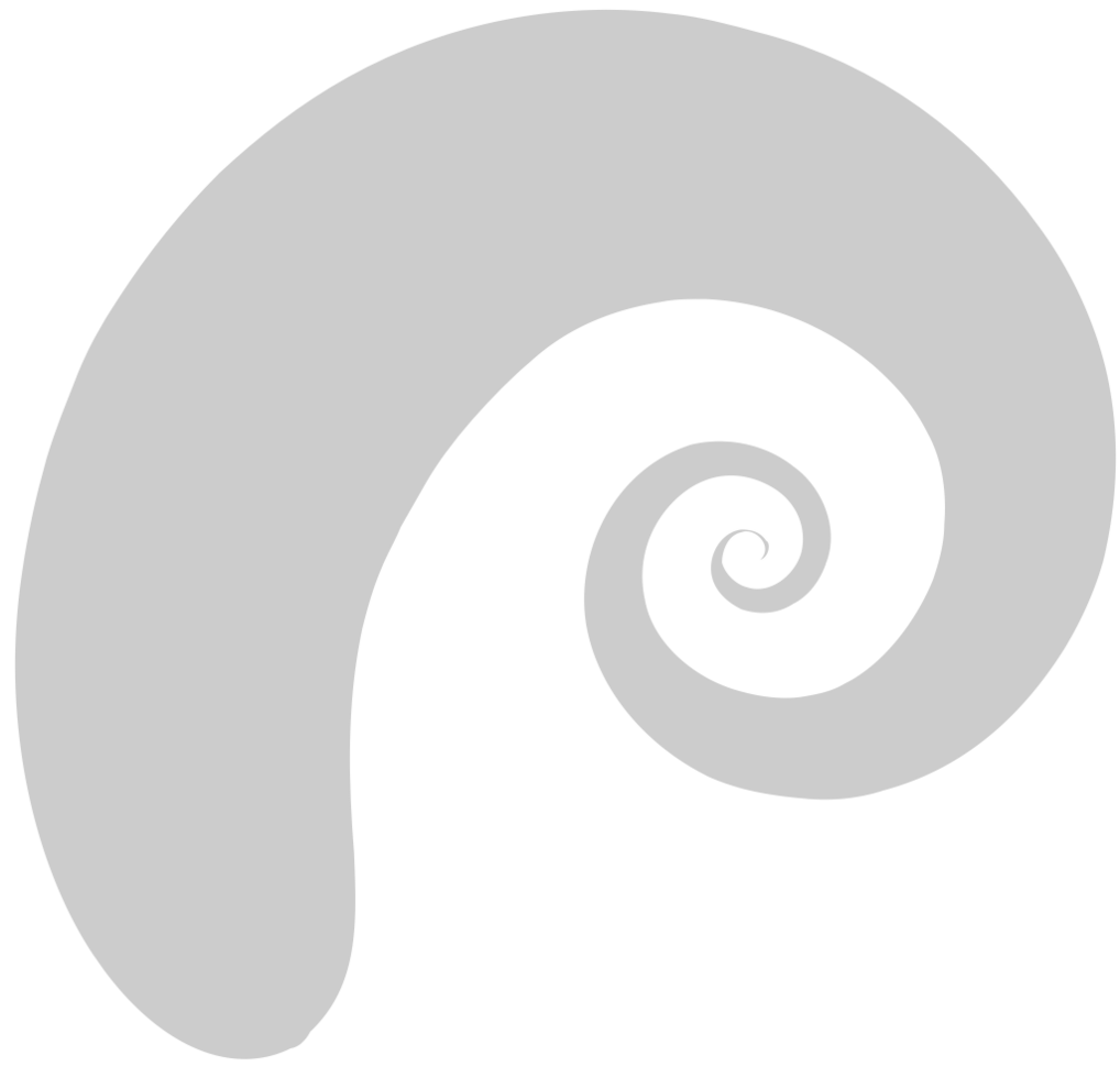 Swirl  vector