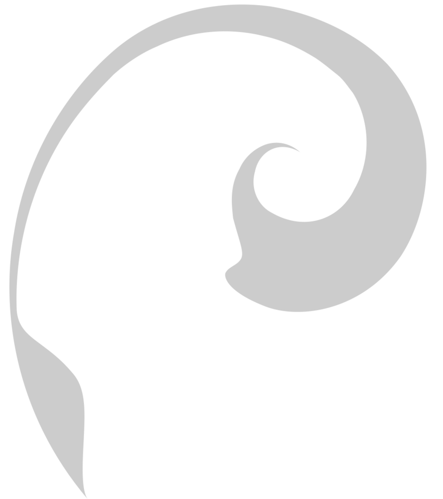 Swirl  vector