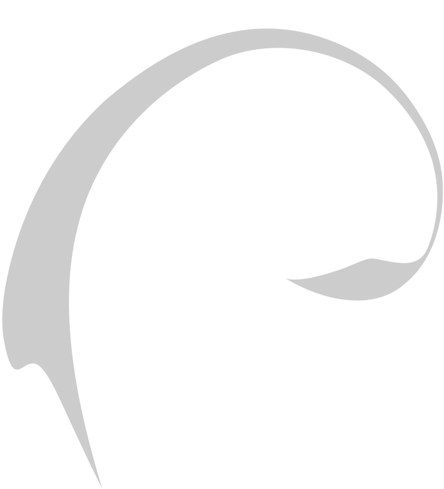 Swirl  vector