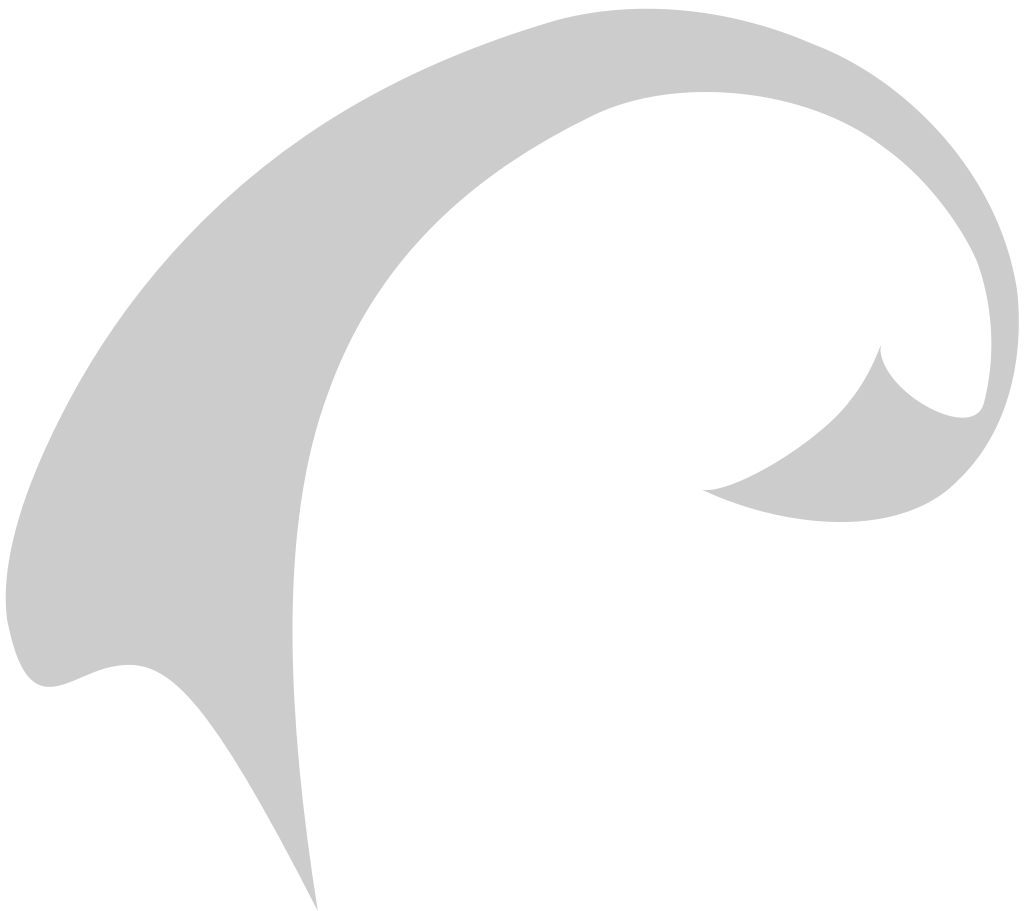 Swirl  vector