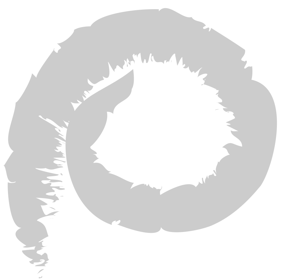 Swirl  vector