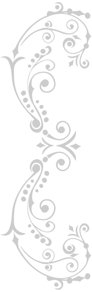 Swirl  vector