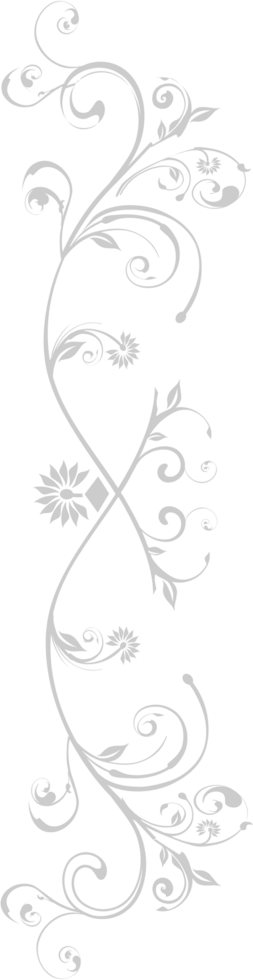 Swirl  vector