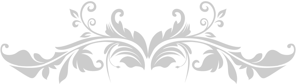 Swirl  vector