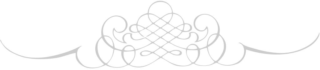 Swirl  vector