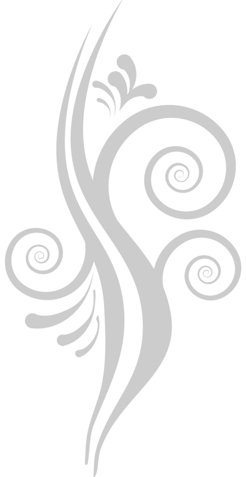 Swirl vector