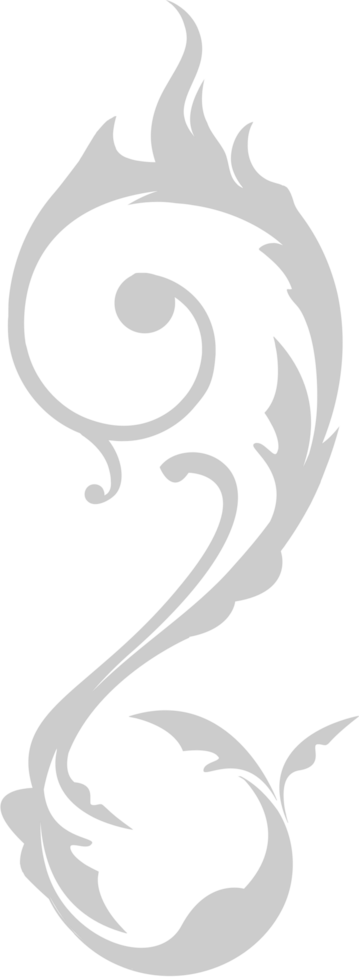 Swirl vector
