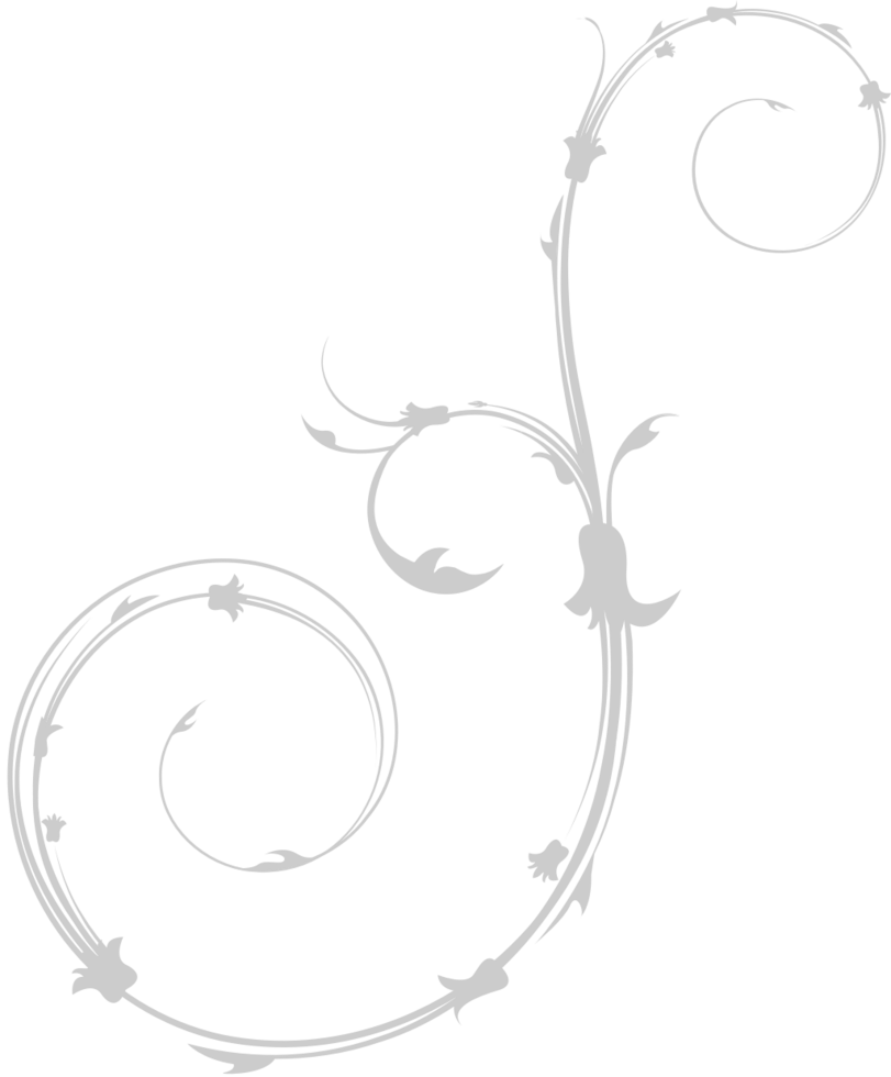 Swirl flower vector