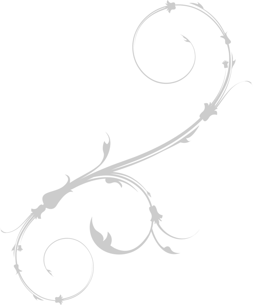 Swirl flower vector