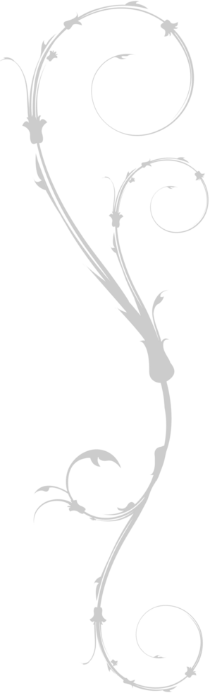Swirl vector