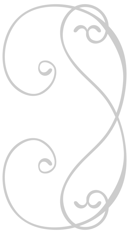 Swirl vector