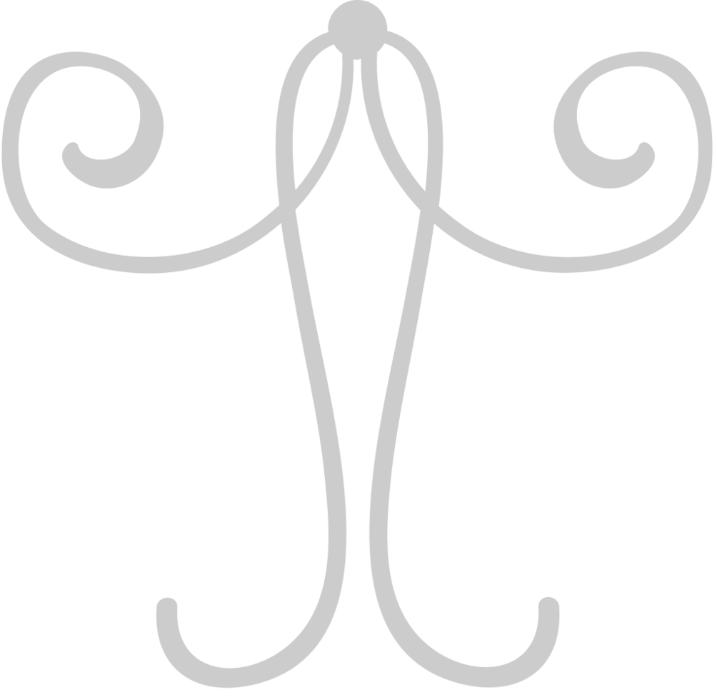 Swirl vector