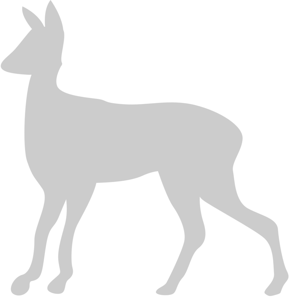 Animal vector
