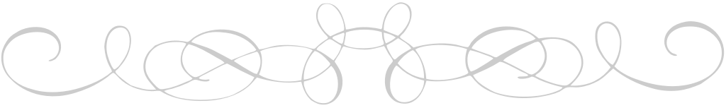 Swirl line curly vector