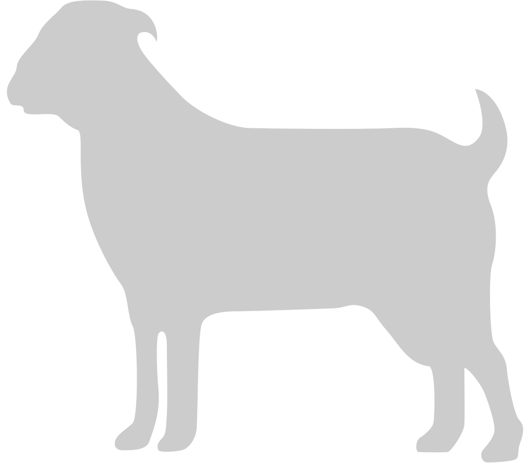 Silhouettes Goat vector