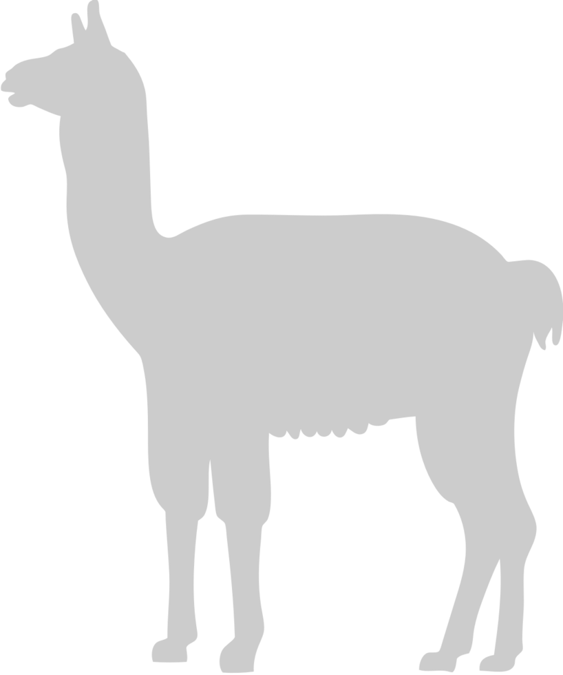 Silhouettes Alpaca vector