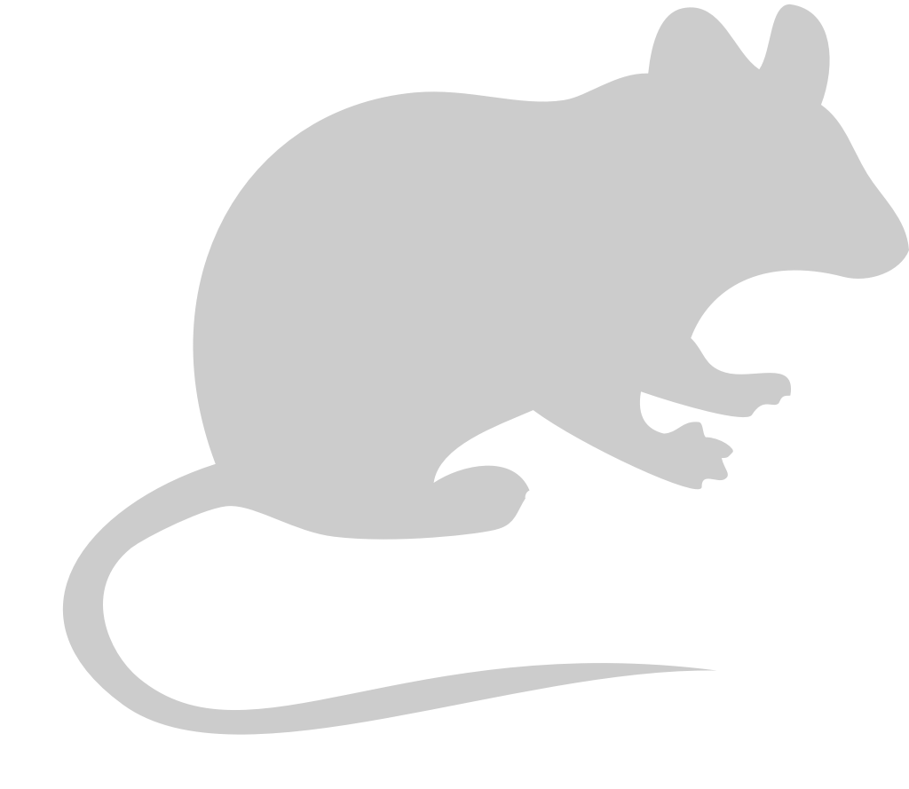 Silhouettes Mouse vector