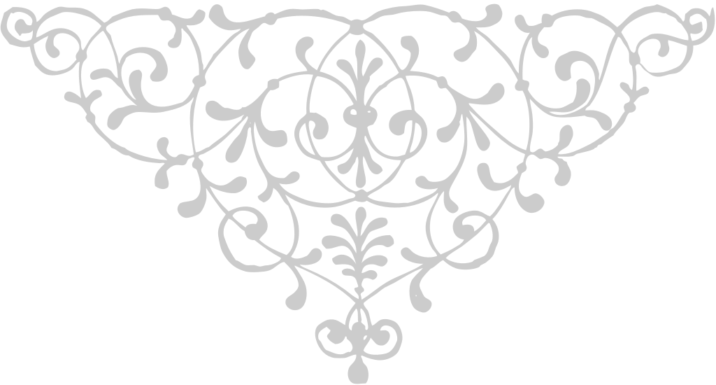 Designs Ornaments vector