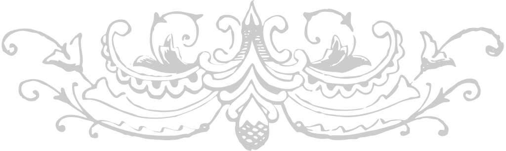 Designs Ornaments vector