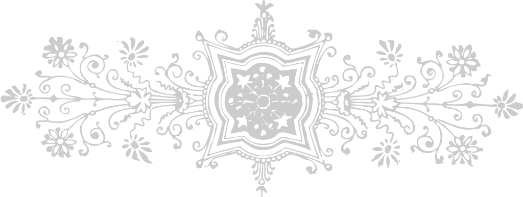 Designs Ornaments vector