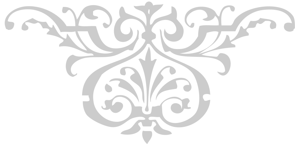 Designs Ornaments vector