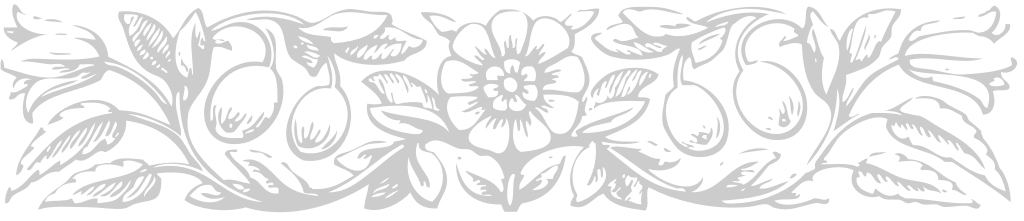 Designs Ornaments vector