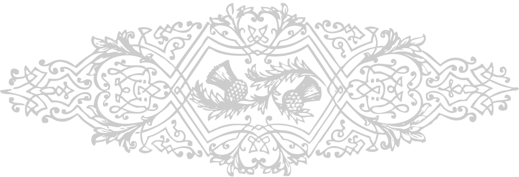 Designs Ornaments vector
