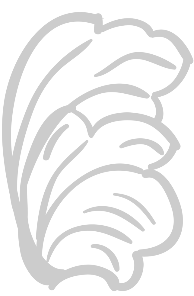 Designs Ornament vector