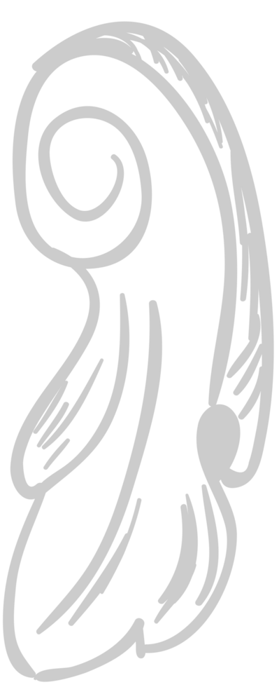 Designs Ornament vector