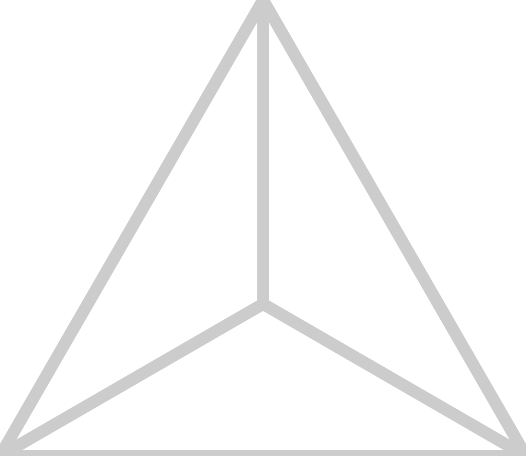 Triangle polygon vector