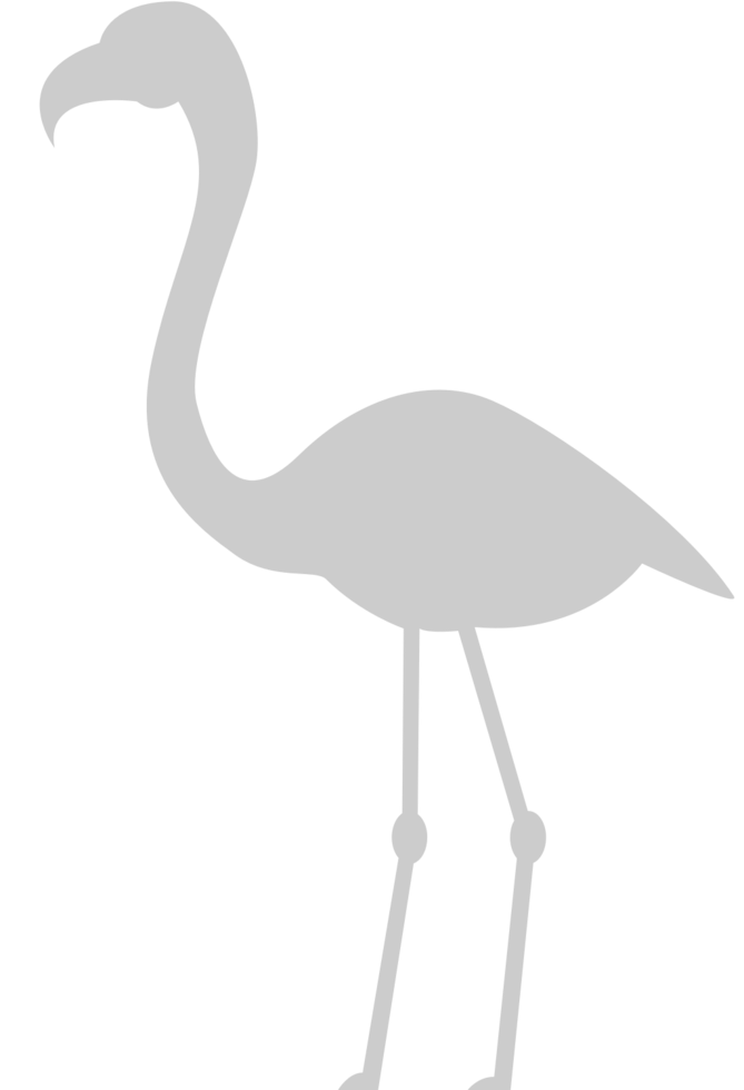 Flamingo vector