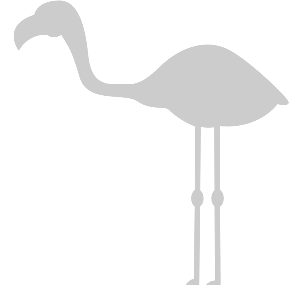 Flamingo vector