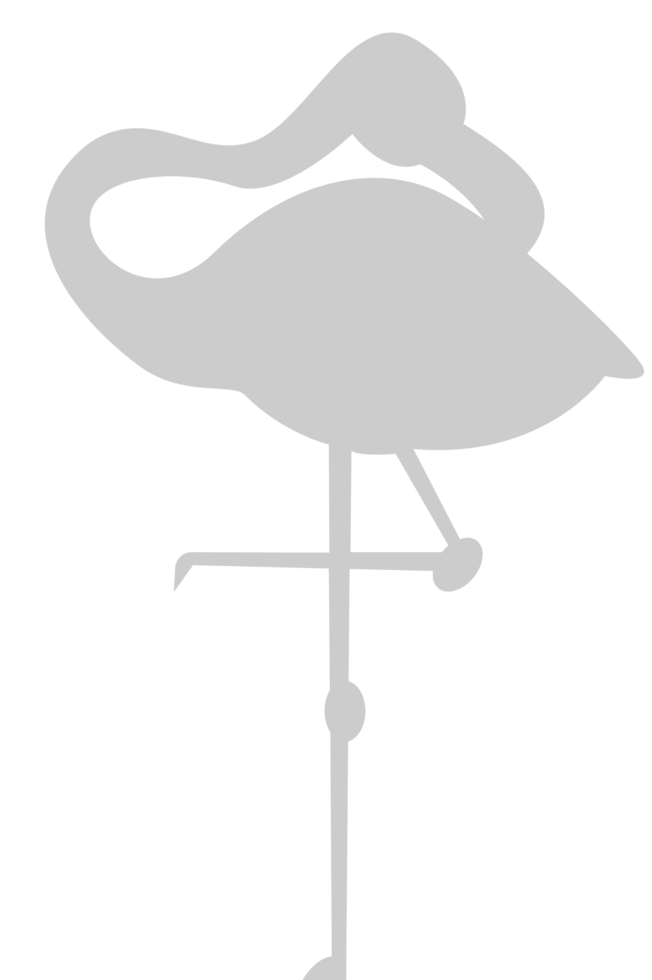 Flamingo vector