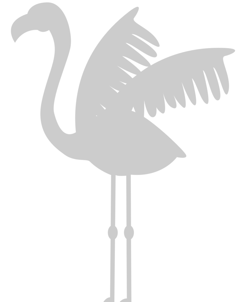 Flamingo vector